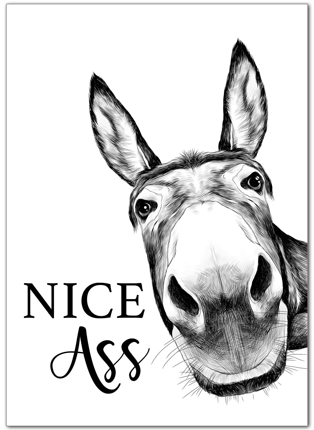 Nice Ass