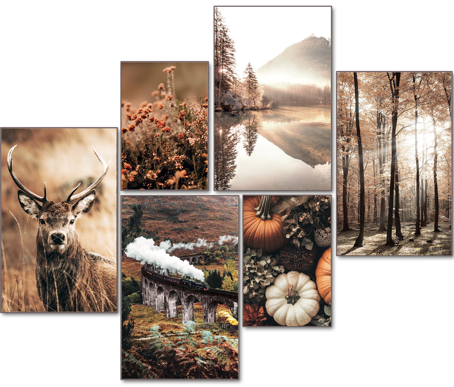Herbstzauber